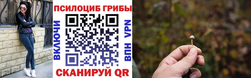 Псилоцибиновые грибы мухоморы  Купить где  Хабаровск 